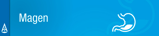 Kategorie_Banner_540px2.jpg