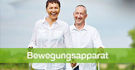 Bewegungsapparat