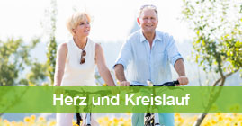 Herz & Kreislauf