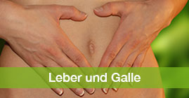 Leber & Galle