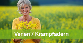 Venen & Krampfadern