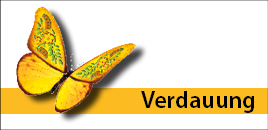 Markenshop_omnival_Banner_Kategorien_Verdauung.png