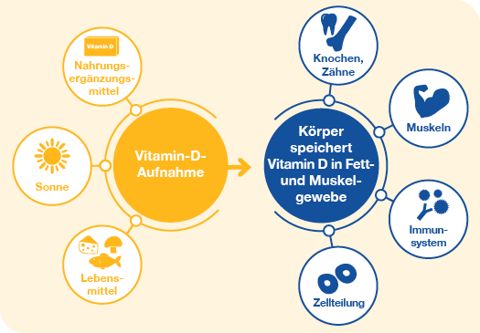 Themenshop_vitamin_D_loges2.png