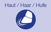 Unterkategorie_16_Pferd_Haut_Haar_Hufe.jpg