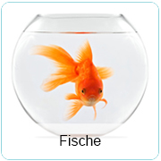 Fische