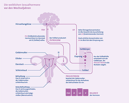 klimaktoplantN info