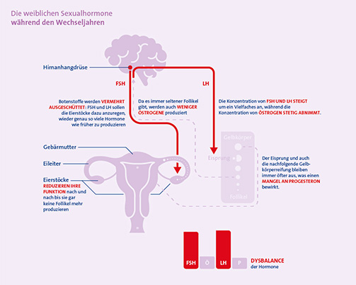 klimaktoplantN info