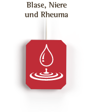markenshop_hstee_blaseniere.png