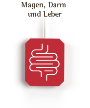 markenshop_hstee_magendarm.png