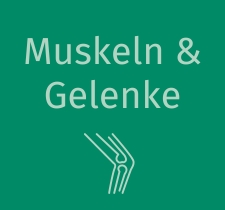 Muskeln & Gelenke