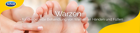 ms_scholl_warzen_headerbanner.jpg