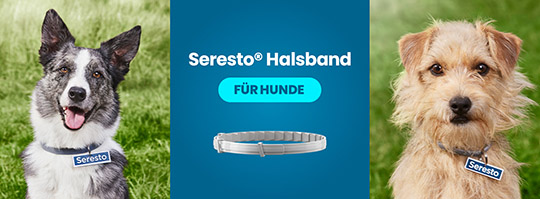 ms_seresto_hund.jpg