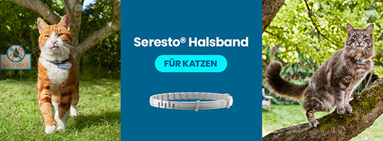 ms_seresto_katze.jpg