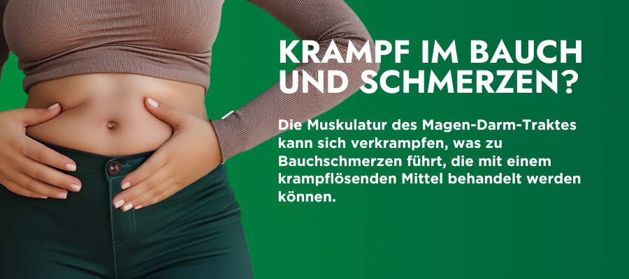 Die Muskulatur des Magen-Darm-Traktes kann sich verkrampfen, was zu Bauschmerzen führt
