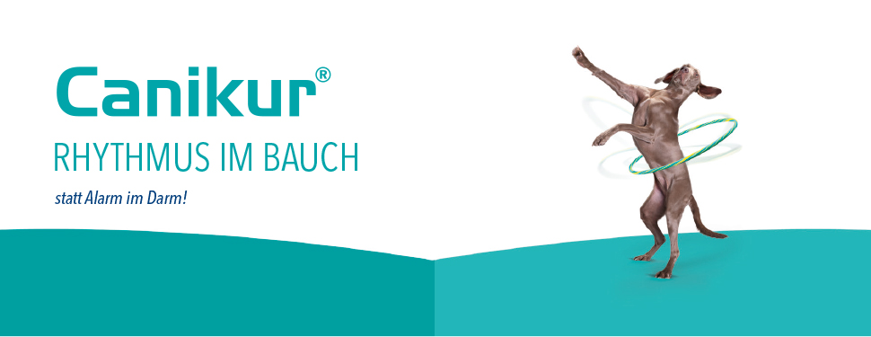 pds_canikur_header.jpg