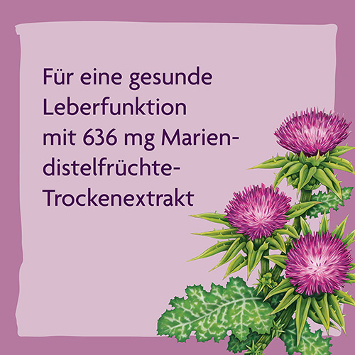 Ein Vorteil des Alepa® Mariendistel Bio-Leber-Tonikums ist der enthaltene Mariendistelfrüchte-Trockenextrakt. 