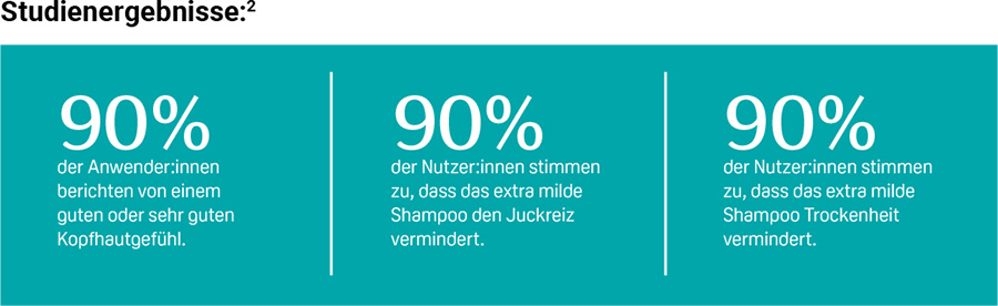 Auswertung Studienergebnisse