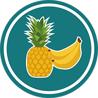 pds_16891113_icon4.png