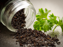 pds_16929560_piperin.jpg