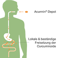 pds_17611038_bild1.png