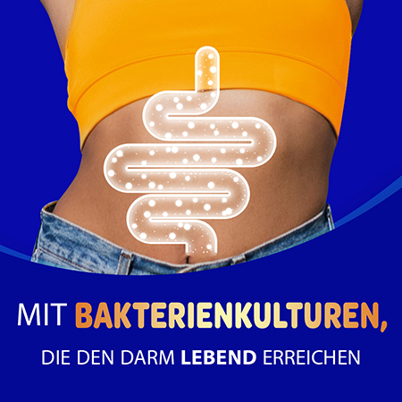 Darstellung eines Darms, mit Bakterienkulturen, die den Darm lebend erreichen
