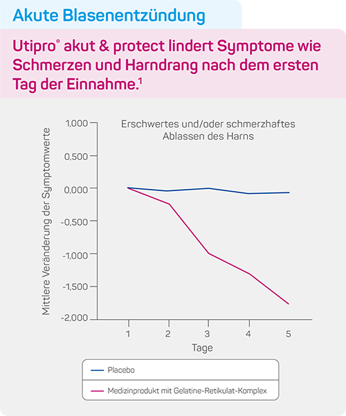 Studien akute Blasenentzuendung