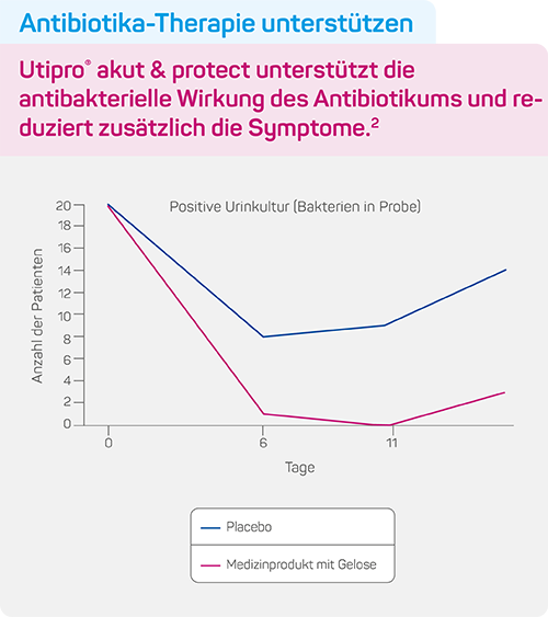 Studie Antibiotika