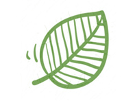 pds_18432668_blatt.jpg
