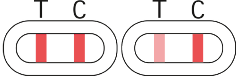 pds_18795477_b3.jpg