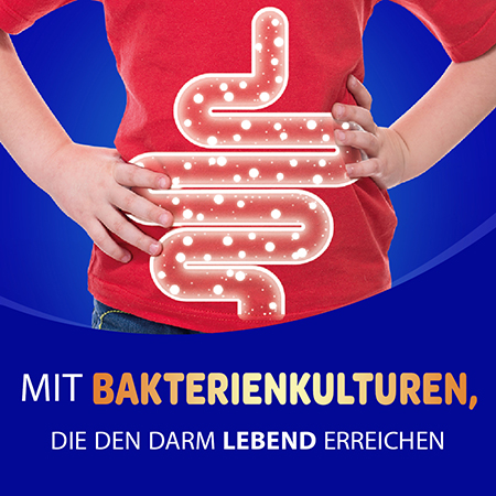 Darstellung eines Darms, Mit Bakterienkulturen, die den Darm lebend erreichen