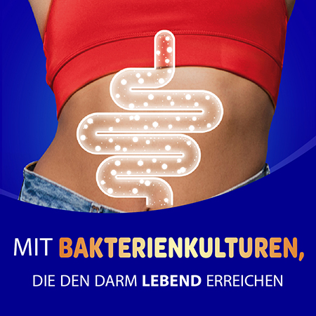 Darstellung eines Darms, Mit Bakterienkulturen, die den Darm lebend erreichen