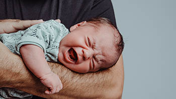 pds_19175305_b1