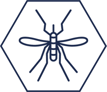 pds_19552860_Icon_Mücke.png