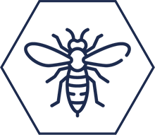 pds_19552860_Icon_Wespe.png
