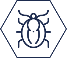 pds_19552860_Icon_Zecke.png