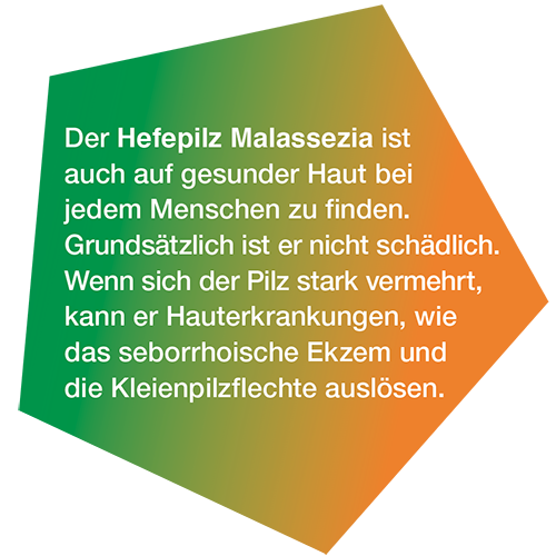 pds_Ketozolin-Shampoo_bild2.png