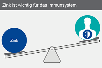 pds_biosyn_zinktotase_bild1.png