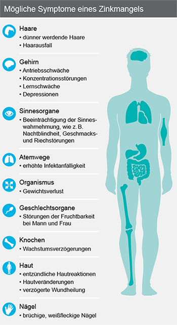 pds_biosyn_zinktotase_bild4.png