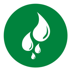 pds_bronchicum_Icon_Schleimloesend.png