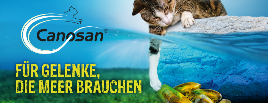 pds_canosan_katze_header.jpg