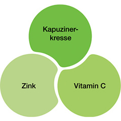 pds_dreluso_cynobal_grafik.jpg