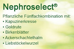 pds_dreluso_nephroselect_bild1.jpg