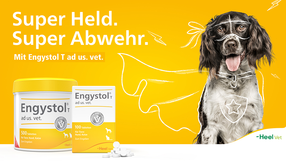pds_engystol_vet_header.jpg