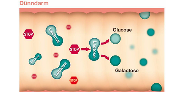 pds_huebner_lactostop_bild3.jpg