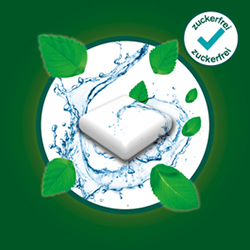 pds_nicorette_freshmint_bild3.jpg