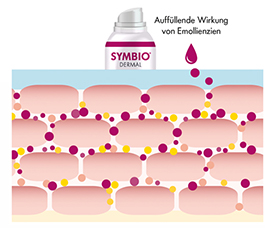 pds_symbiodermal_wirkschema2.jpg