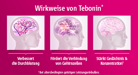 pds_tebonin_konzent_bild2.png