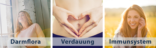 pds_vitamaze_darmflora_wirkung.jpg