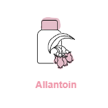 pds_viviflor_schaum_allantoin.png