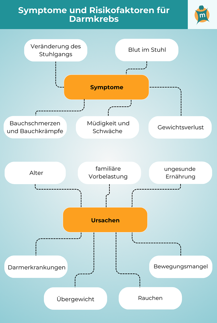 themenshop_darmkrebs_Infografik1.png